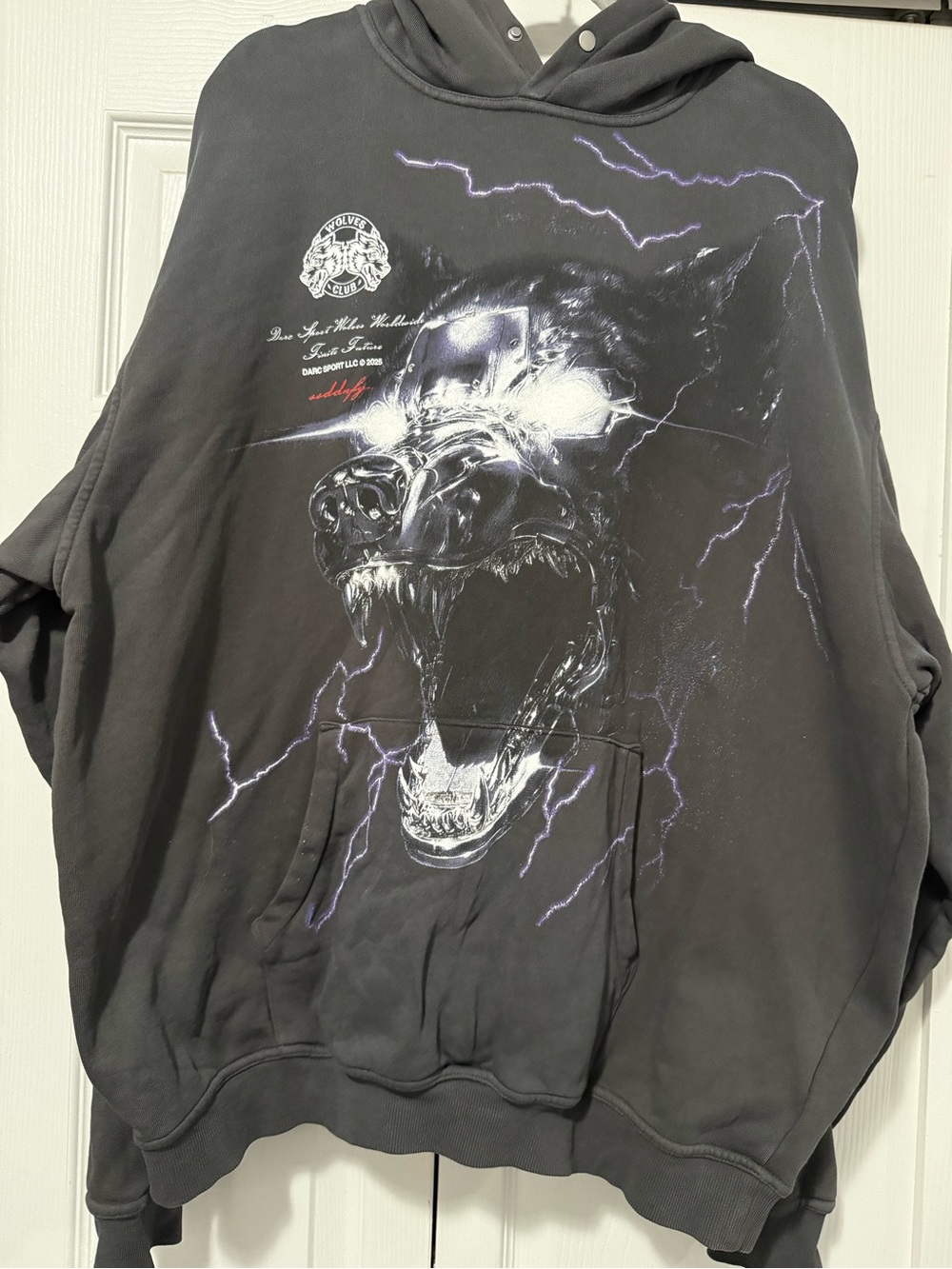 Darc Sport Chrome Wolf Gray Hoodie